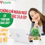 Chứng Chỉ Tiếng Anh Bậc 3 6 Là Gì