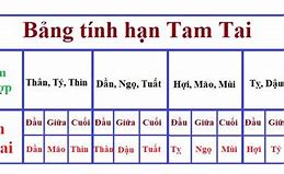 Năm 2025 Tam Tai Của Những Tuổi Nào