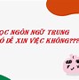 Nên Học Tiếng Gì Để Dễ Xin Việc