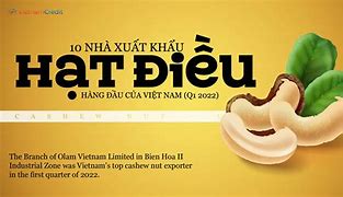 Xuất Khẩu Điều Việt Nam 2022 Là Gì ؟